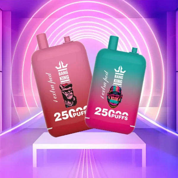 Bang King 25000 Puffs Dual Pods 0% 2% 3% 5% Caneta Vapes descartáveis ​​recarregáveis ​​com baixo teor de nicotina em massa Compre no atacado - HoldVape - 1