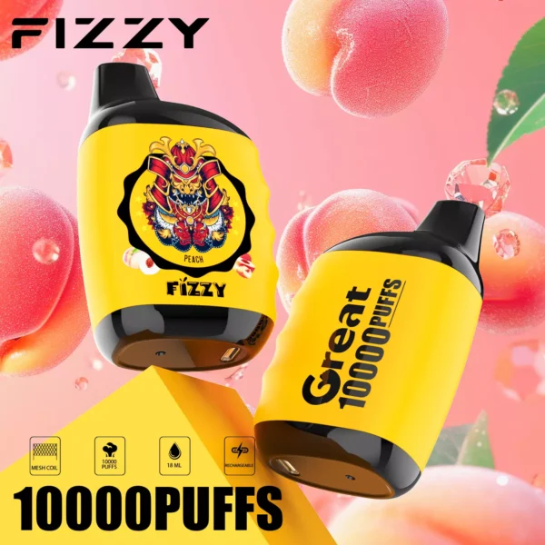 Fizzy Great 10000 Puffs 2% 5% Low Nicotine Rechargeable Disposable Vapes Pen Bulk Buy Wholesale - HoldVape - 6