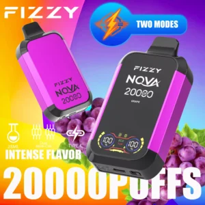 Fizzy Nova 20000 Puffs Dual Mesh 2% 5% Low Nicotine Rechargeable Disposable Vapes Pen Bulk Buy Wholesale - HoldVape - 8